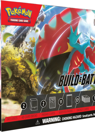 https://cdn.shopify.com/s/files/1/0530/0243/6801/files/pokemon-tcg-scarlet-and-violet-paradox-rift-build-and-battle-stadium-the-card-vault.png?v=1757706862
